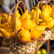 Load image into Gallery viewer, Abiu Tree