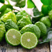 Load image into Gallery viewer, Kaffer 'Kieffer' Lime Tree