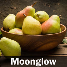 Load image into Gallery viewer, 5-in-1 Pear Tree