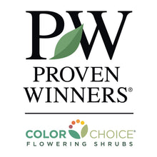 Load image into Gallery viewer, Bloom-A-Thon® Lavender Azalea Shrub