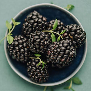 Apache Blackberry - USDA Organic