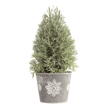 Load image into Gallery viewer, Goodwin Creek Gray Lavender
